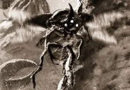 Coleopteran-MalleusMonstrorum.jpg (69 KB) Coleopteran host, by Loïc Muzy (Malleus Monstrorum)