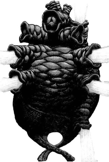 Idea of Evil (Berserk)