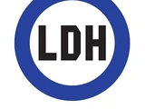 LDH martial arts