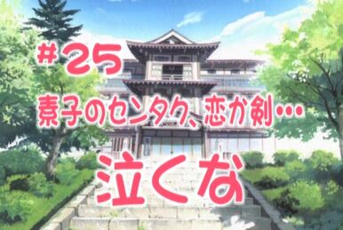 Love Hina (anime) Episode 25 | Love Hina Wiki | Fandom