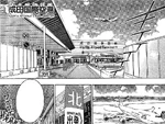 NaritaAirportNegima