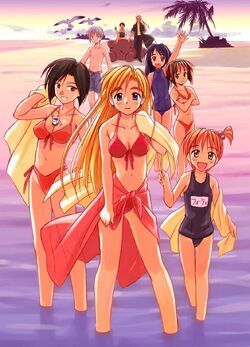 A I Love You Love Hina Wiki Fandom