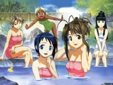 What a Nice Hot Spring