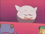 CatBall1.jpg (16 KB)