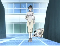 Fencing