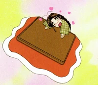 Mutsumi's kotatsu
