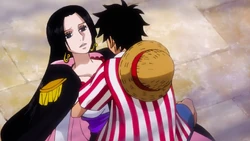 Monkey D Luffy Love Interest Wiki Fandom