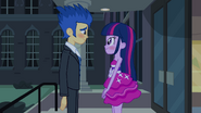 Twilight Sparkle & Flash Sentry (9)