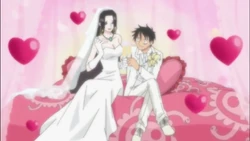 Monkey D Luffy Love Interest Wiki Fandom