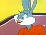 Daisy Rabbit