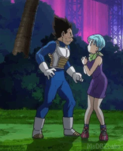 Bulma | Love Interest Wiki | Fandom