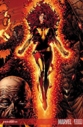 Dark Phoenix