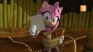 Amy keeps a picture of Sonic