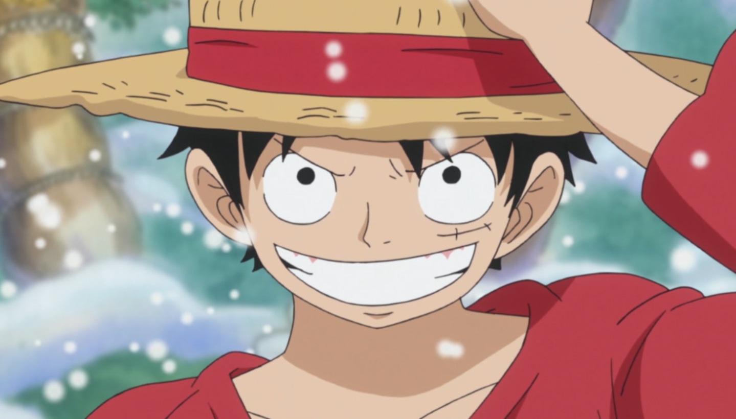 Monkey D Luffy Love Interest Wiki Fandom