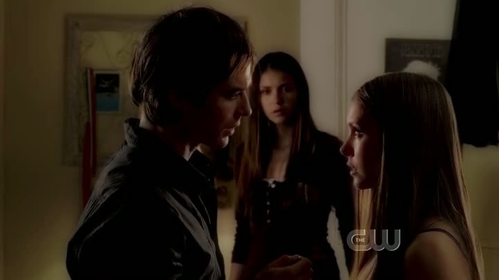 Elena Gilbert, Love Interest Wiki