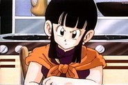 Adult Chi-Chi in the beginning of Dragon Ball Z