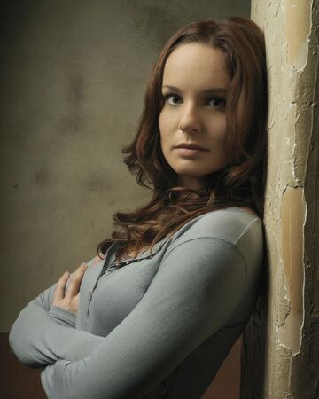 Sara Tancredi Love Interest Wiki Fandom