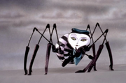 Miss Spider