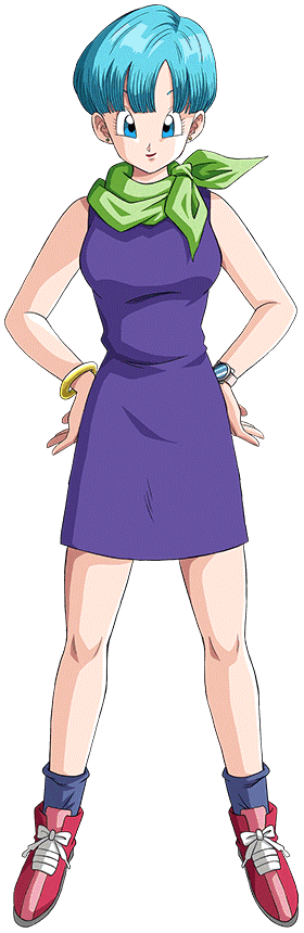 Well thanks dragon ball wiki for all the info on Bulma's bust. :  r/menwritingwomen