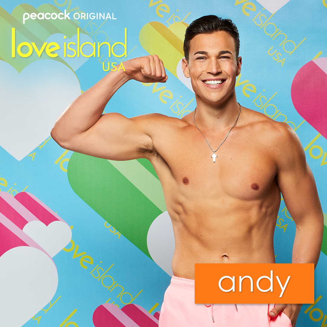 Love Island (Season 4), Love Island Wiki