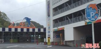 Mitosea-1.jpg