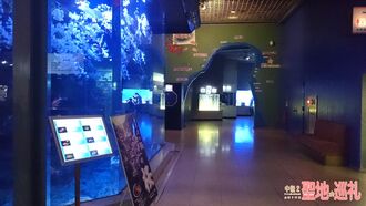 Mitosea-03.jpg