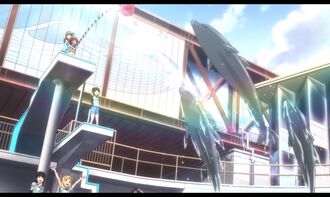 Aquarium-21.jpg