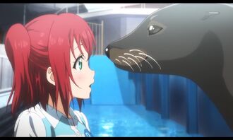 Aquarium-19.jpg