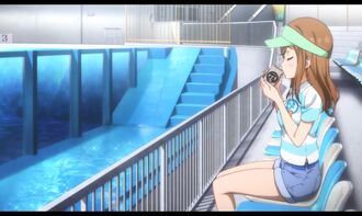 Aquarium-22.jpg