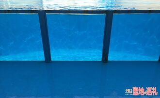 Mitosea-18.jpg