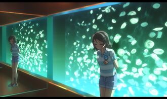 Aquarium-06