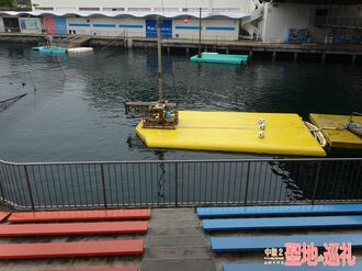 Mitosea-10.jpg