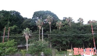 Numadu117.jpg