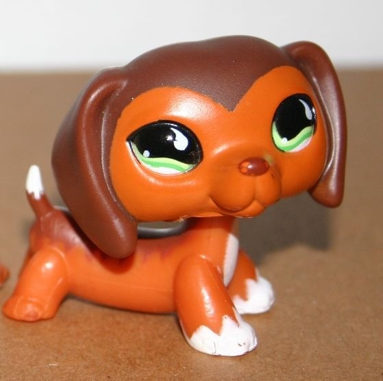 littlest pet shop dachshund 675