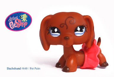 1211 LPS Dachshund Littlest pet shop Wiki Fandom