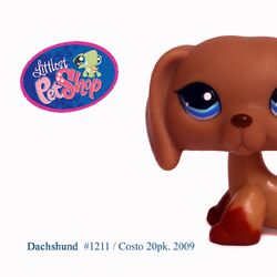 All lps store dachshunds