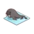 Elegant Walrus