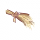 Ear of Harvest