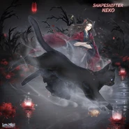 The background accessories