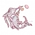 Treasure Whale Song