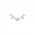 Spirit of Four Constellations