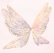 Transparent Wings