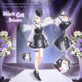 Black Cat Dream