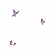 Butterflies of Midnight