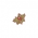 Cranberry