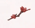 Shadow Wintersweet