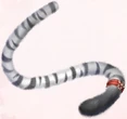 Fluffy Tiger Tail.png (483 KB) Fluffy Tiger Tail