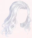 Curly Persian Cat (Hair)
