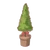 Elegant Plant