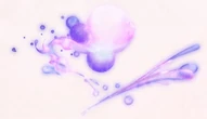 Affectional Fragrance
